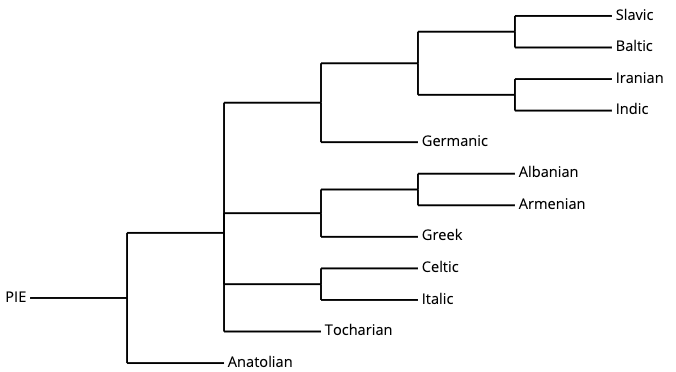 Figure 4: Indo-European family tree (Connecting the Dots project).
